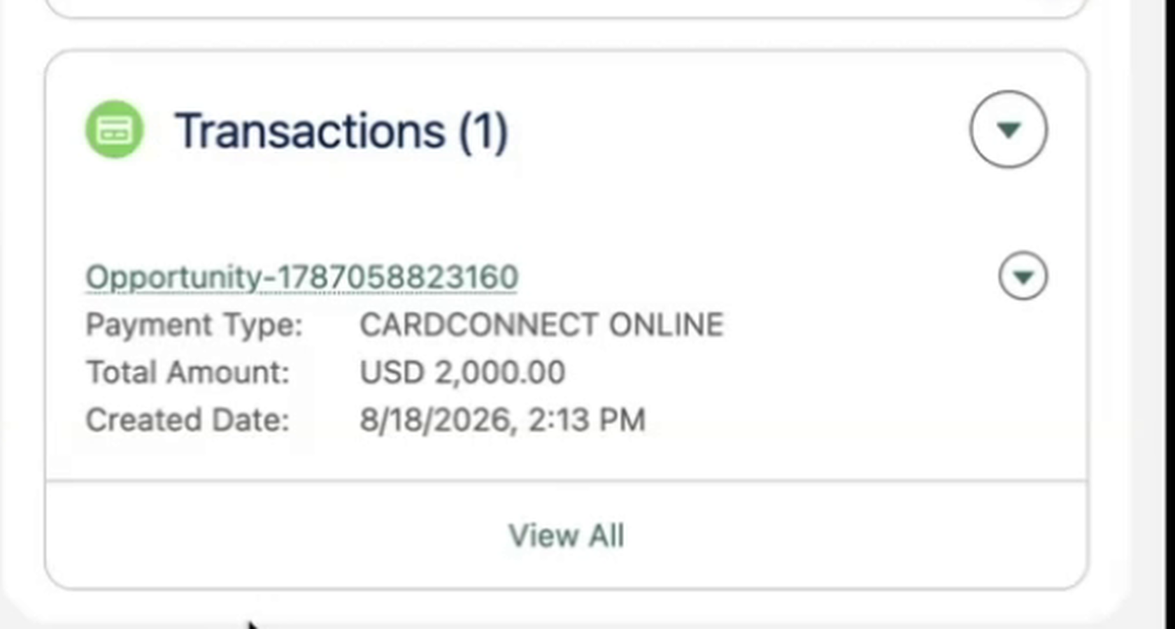 A completed payment recorded on a Salesforce record, showing payment type and amount